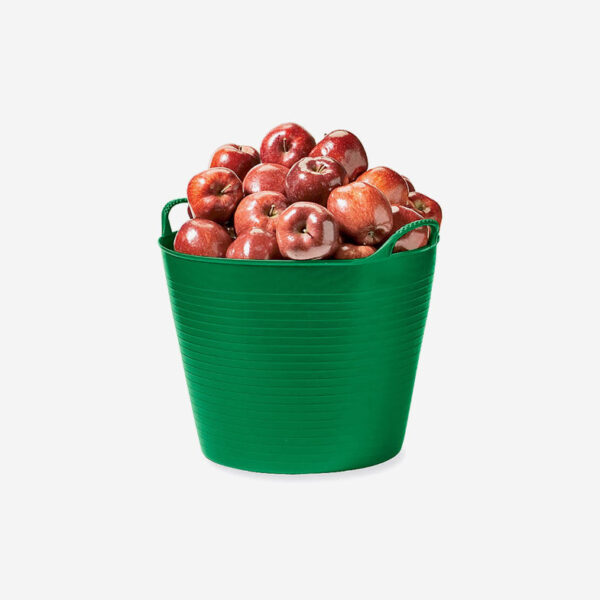 Xtra Xeriscaper